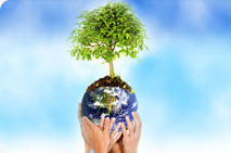 Smart Businesses Go Green with Greenshades